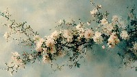 Delicate Blossoms On A Serene Sky Background