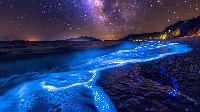 Dreamlike Seascape Under Moonlit Sky Wallpaper