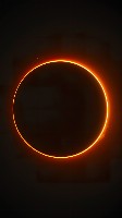 Inviting Warm Glow of Tangerine Circle on Black Background Wallpaper