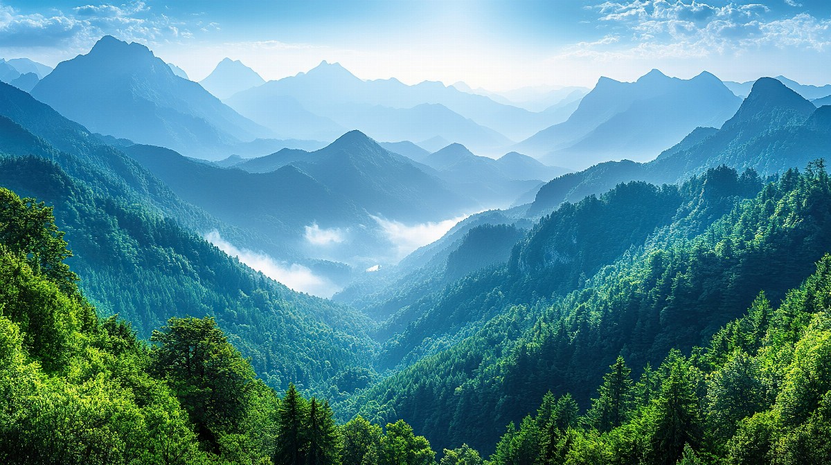 Mountain range with dense pine forests and misty valleys.