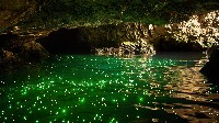 Mystical Underwater Cave with Glowing Creatures Background